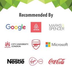 Краска-экран под проектор чёрная Smarter Surfaces